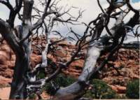 west1001_small.jpg