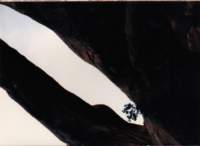 west1002_small.jpg