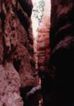 west1074_small.jpg