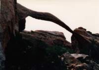 west1113_small.jpg
