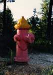 west1174_small.jpg
