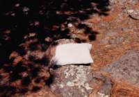 west1188_small.jpg