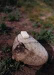 west1312_small.jpg
