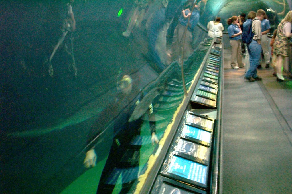 dcp_0497.jpg