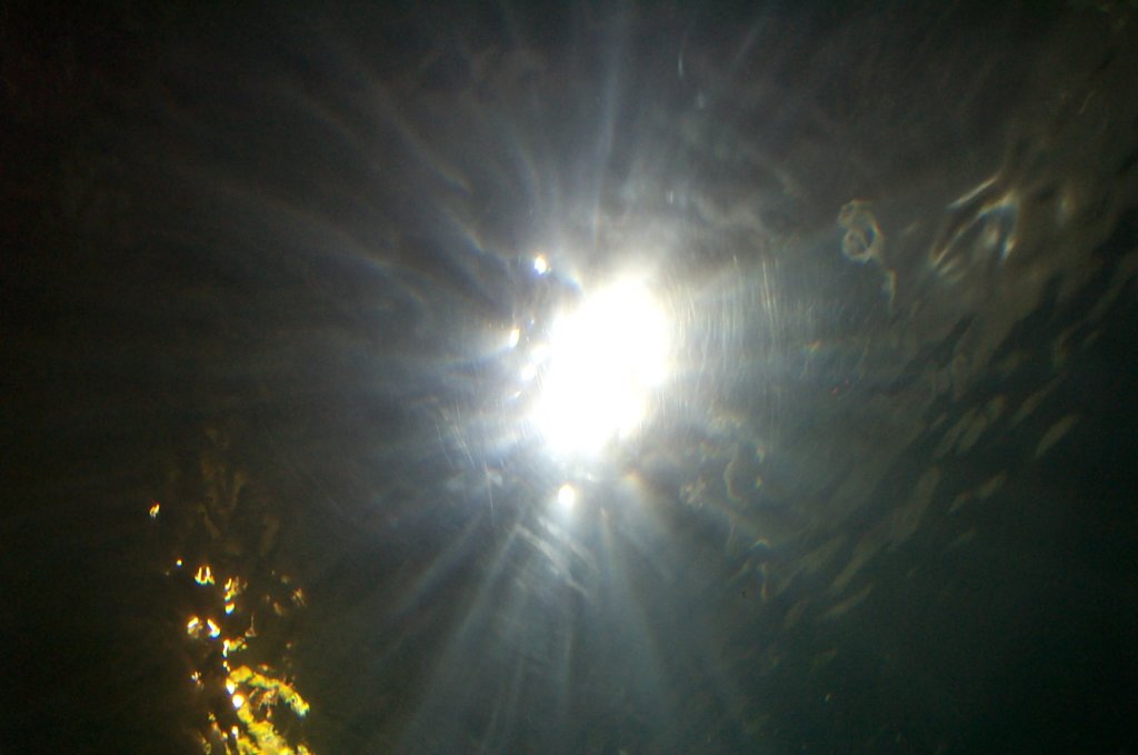 dcp_0503.jpg