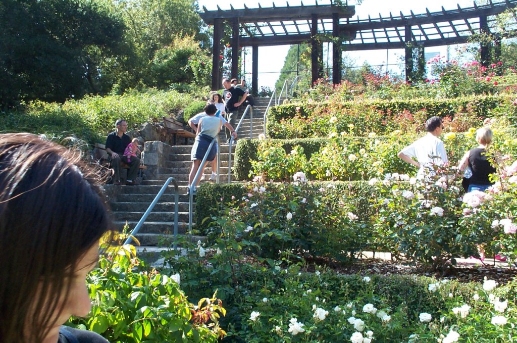 dcp_1542.jpg