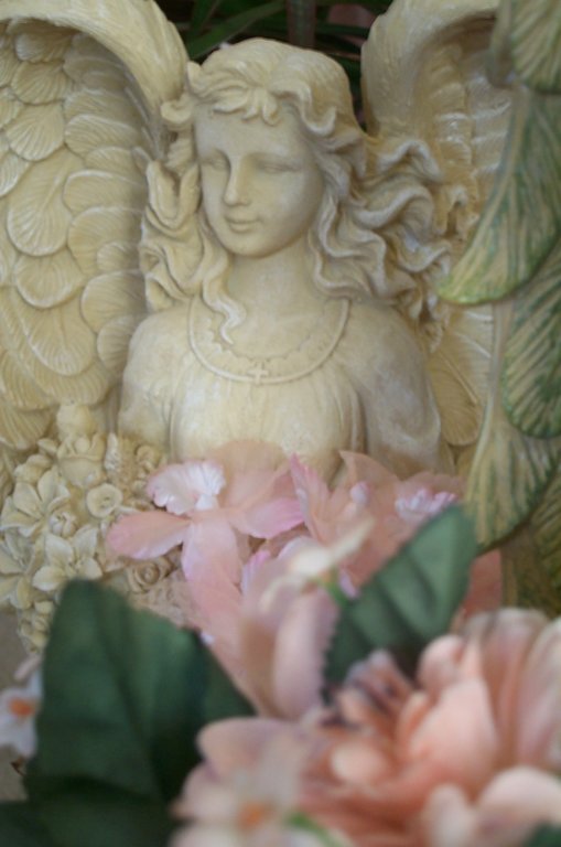 dcp_0040.jpg