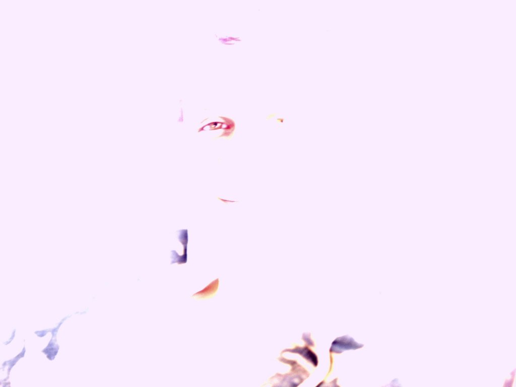 pb202823.jpg