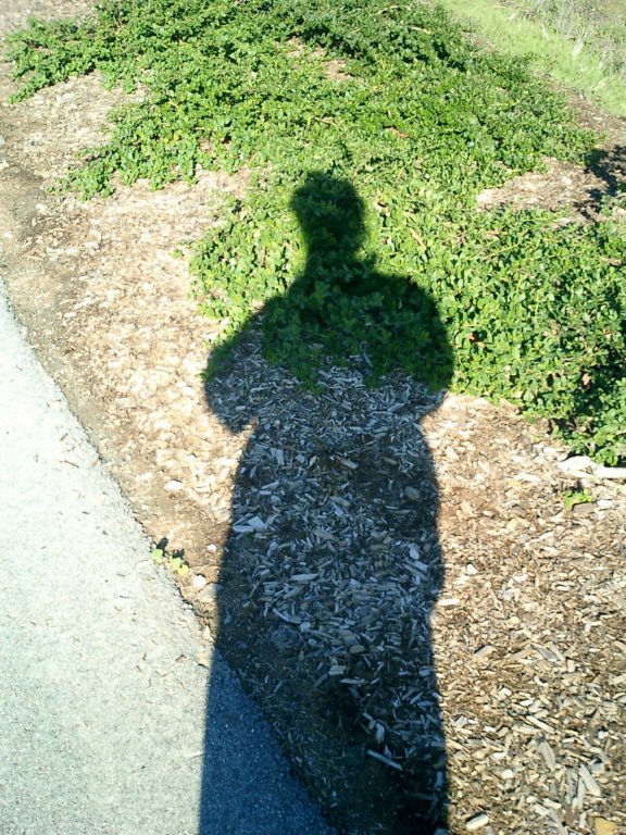 pix047.jpg