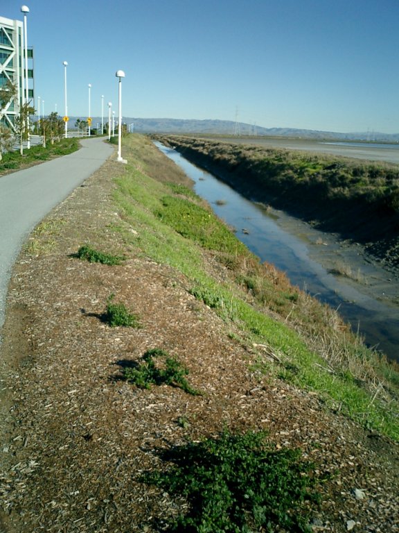 pix048.jpg