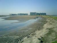 misc045_small.jpg