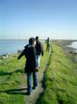 misc047_small.jpg