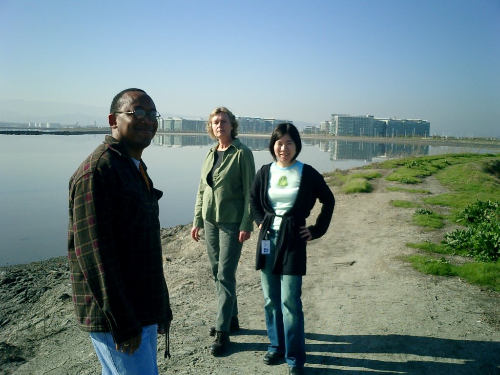 misc050.jpg