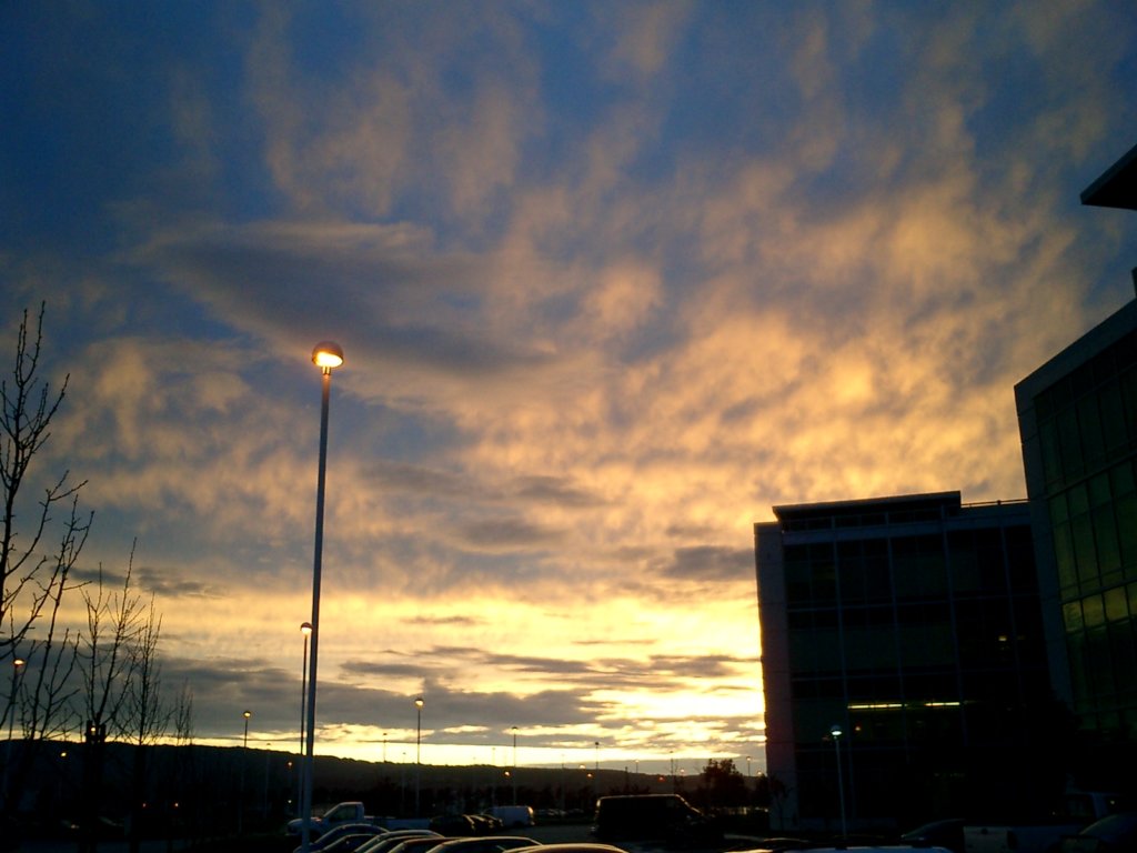 mar22_006.jpg