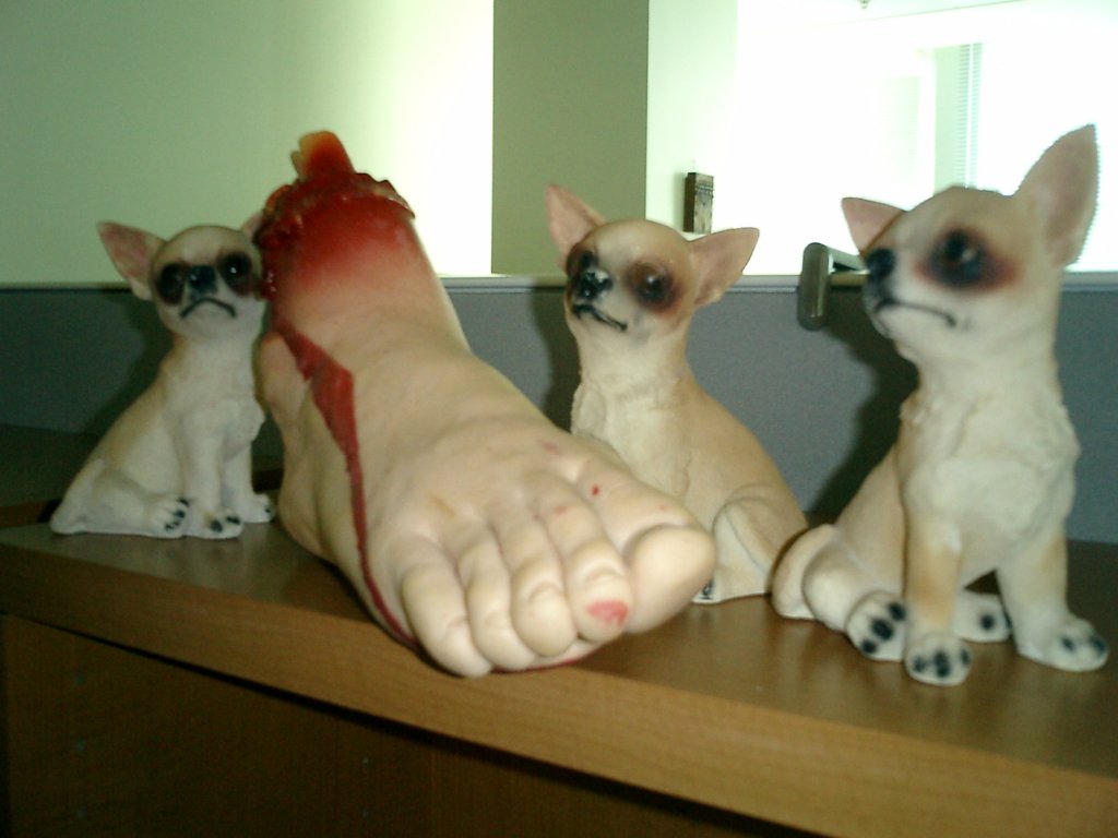 b_029.jpg