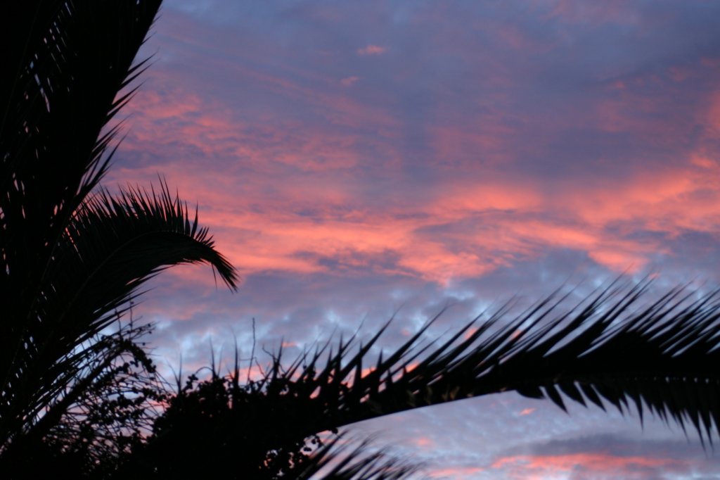 c_0032.jpg