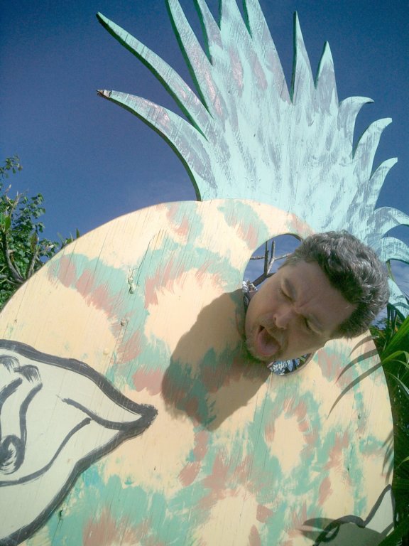 c_019.jpg