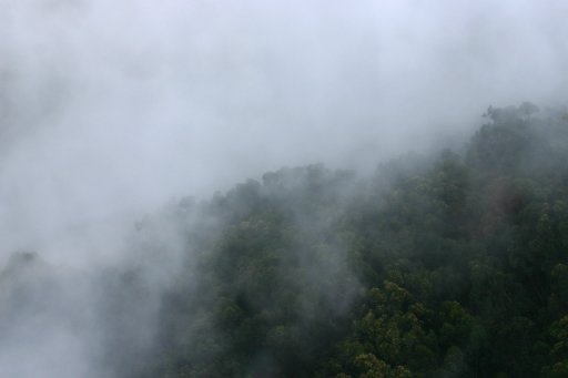 a_081.jpg