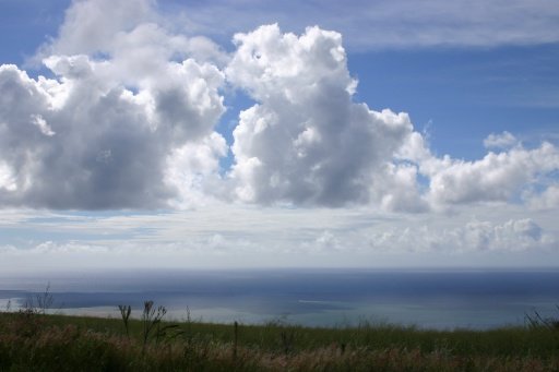 a_335.jpg