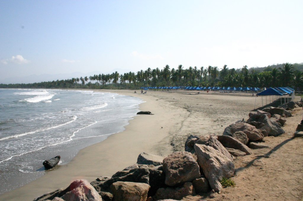 f_0005.jpg