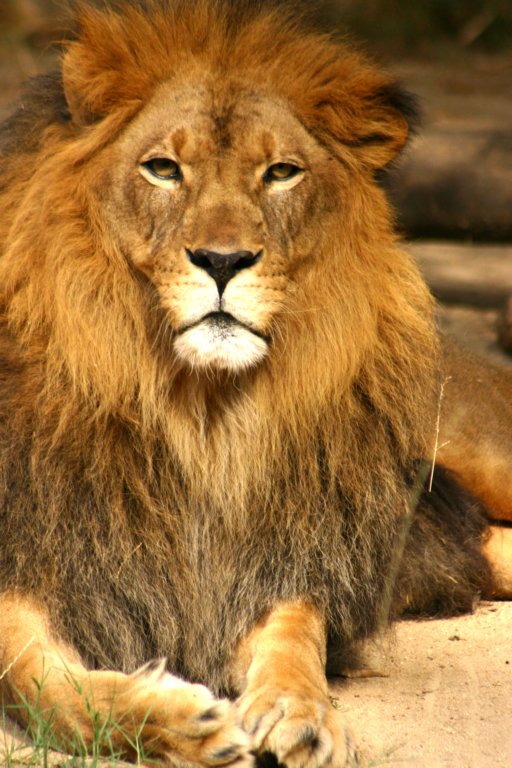 _0145.jpg
