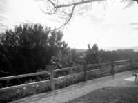 b_0041_small.jpg