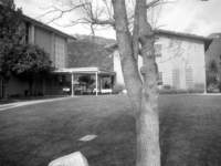 b_0045_small.jpg