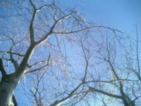 b_0092_small.jpg