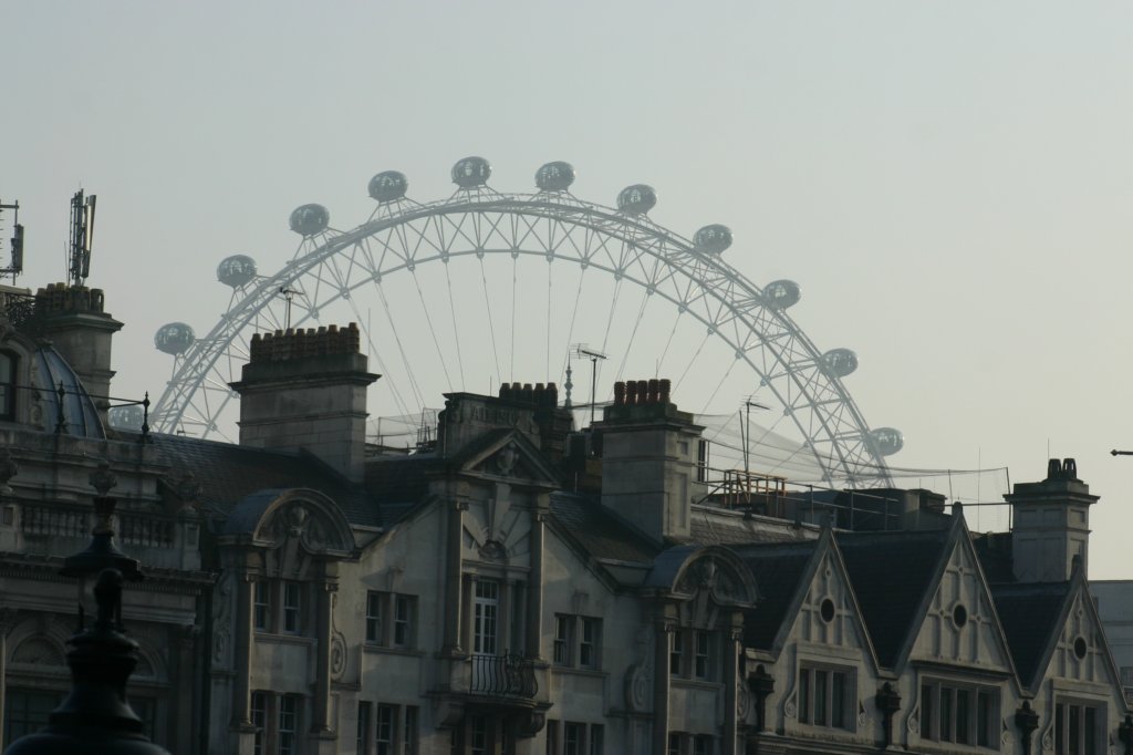 a_0059.jpg