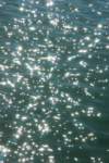 _0164169_small.jpg