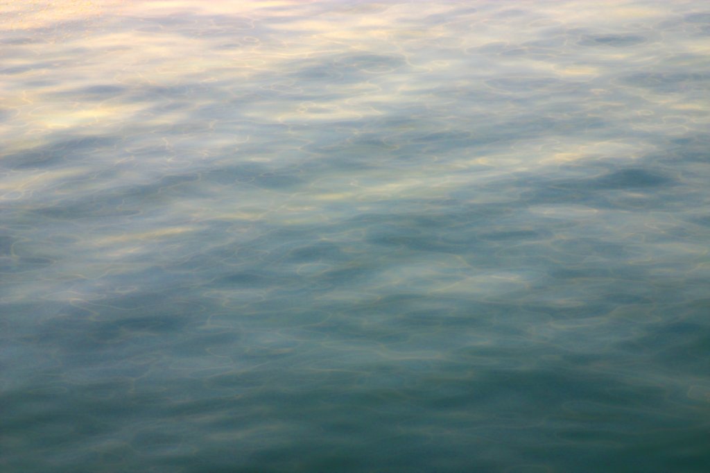 _0297302.jpg