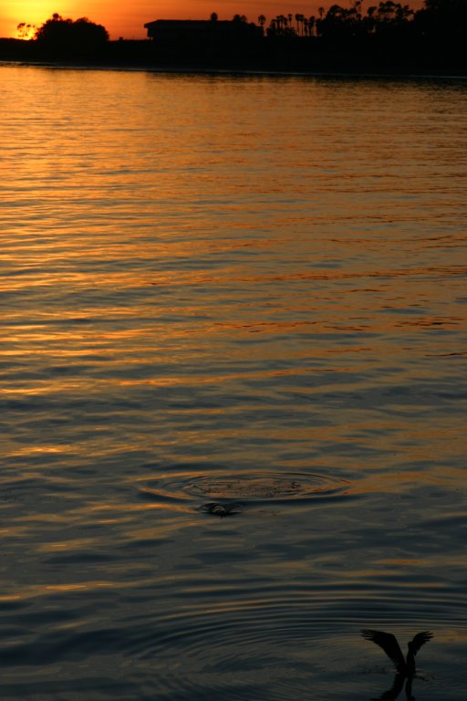 _0340.jpg