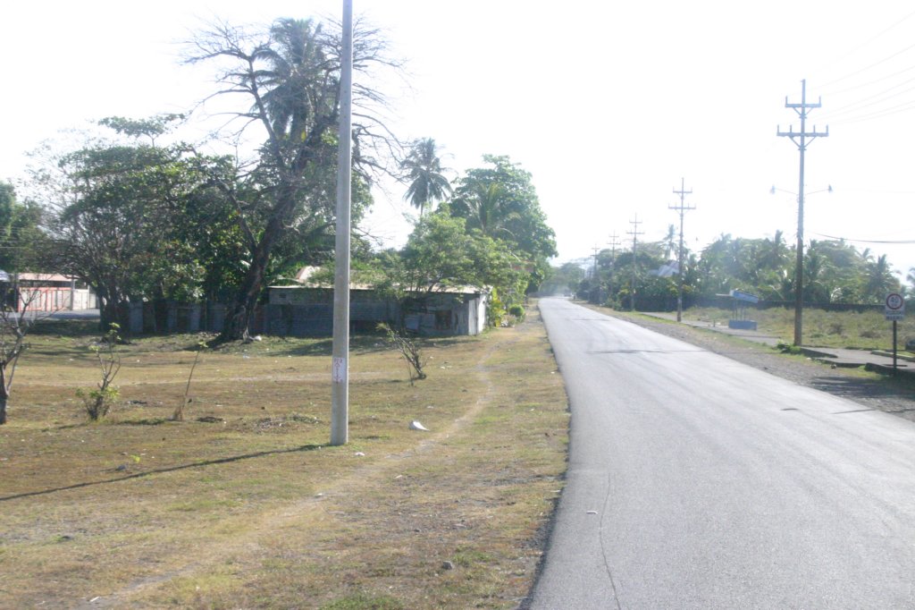 a_0006.jpg