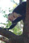 a_0019_small.jpg