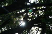 a_0025_small.jpg