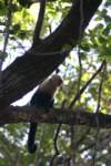 a_0032_small.jpg