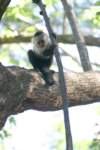 a_0040_small.jpg