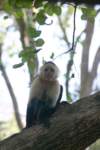 a_0047_small.jpg