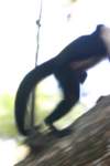 a_0050_small.jpg