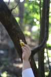 a_0051_small.jpg