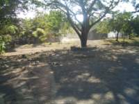 b_0011_small.jpg