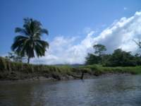 b_0014_small.jpg