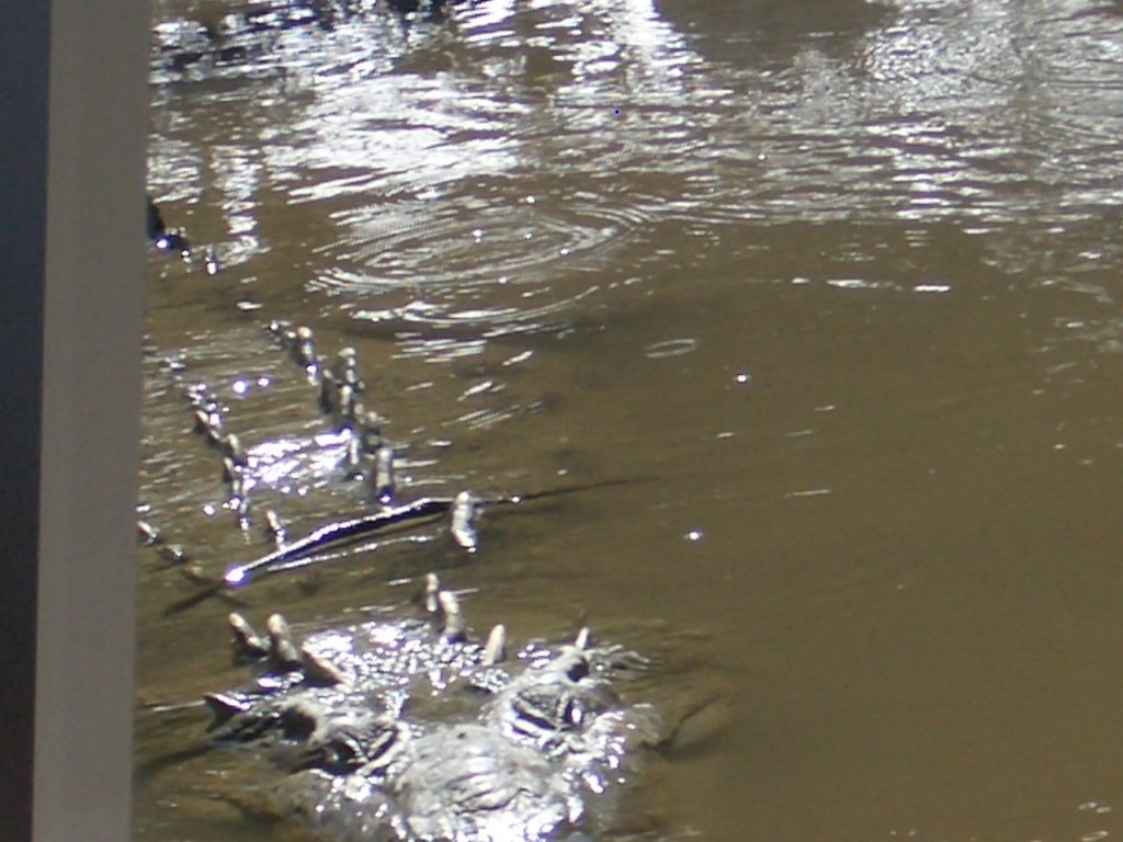 b_0022.jpg