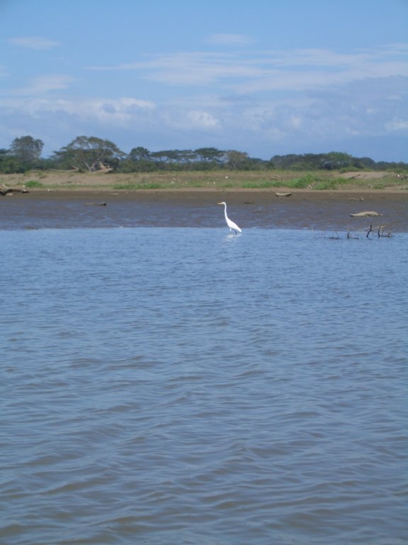 b_0035.jpg