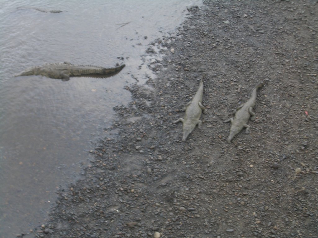 b_0060.jpg
