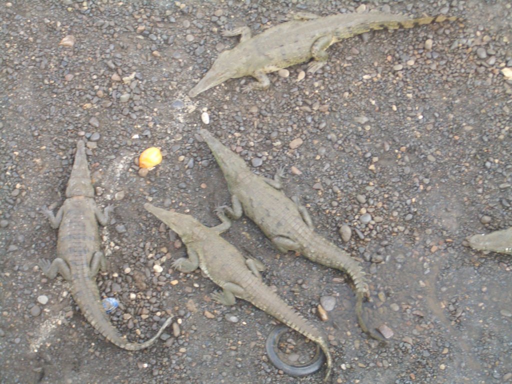 b_0064.jpg