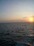 b_0017_small.jpg