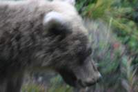 _025_small.jpg