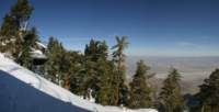 _122127_small.jpg