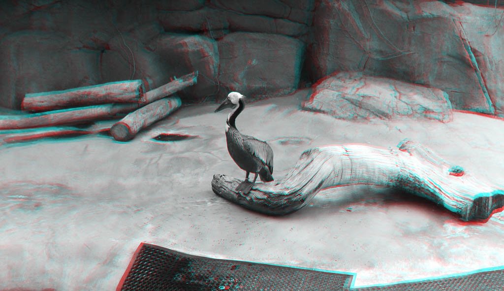 _001.jpg